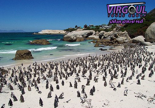 تخته سنگ ساحلی کیپ تاون