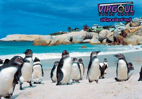 تخته سنگ ساحلی کیپ تاون