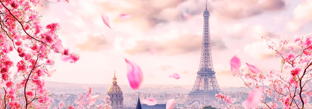 توضیحات تصویر