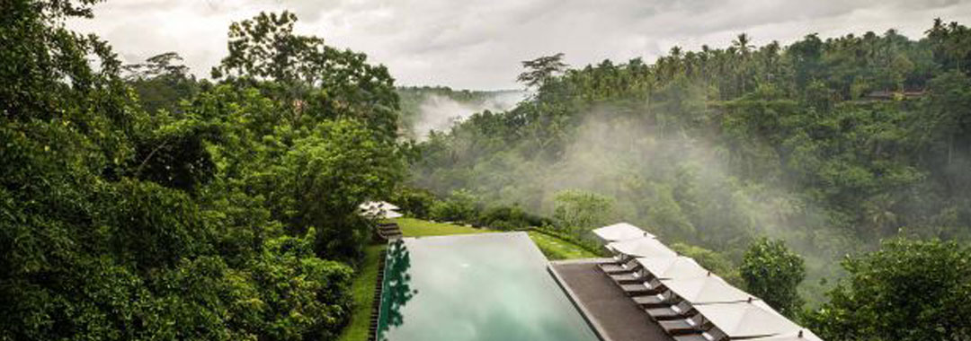 توضیحات تصویر