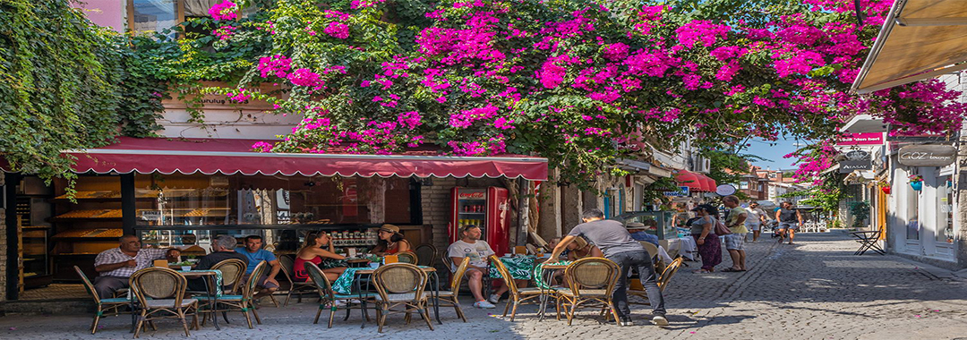 توضیحات تصویر