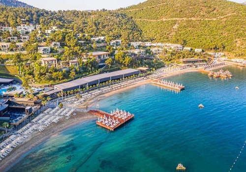 توضیحات تصویر