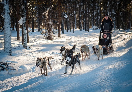 توضیحات تصویر