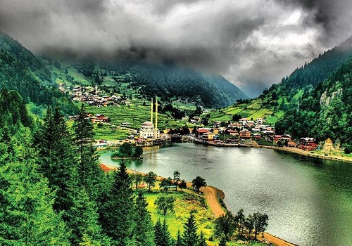 توضیحات تصویر