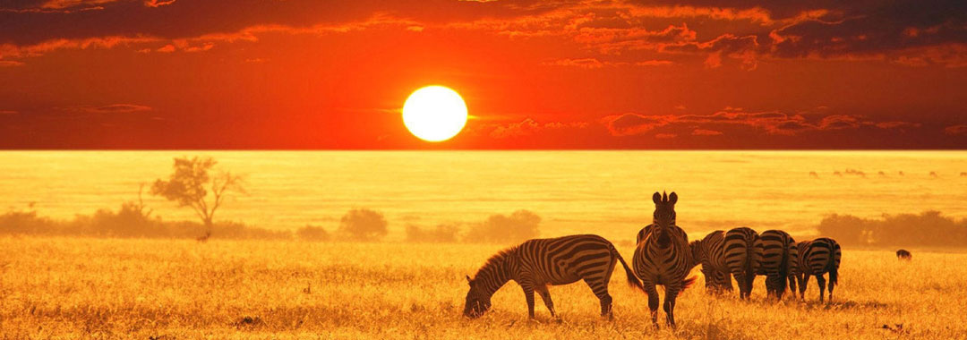 توضیحات تصویر